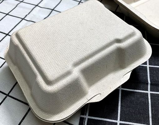Yapışık Şeker Kamışı Hamuru Ambalajı Biyobozunur Tek Kullanımlık Öğle Yemeği Kutusu