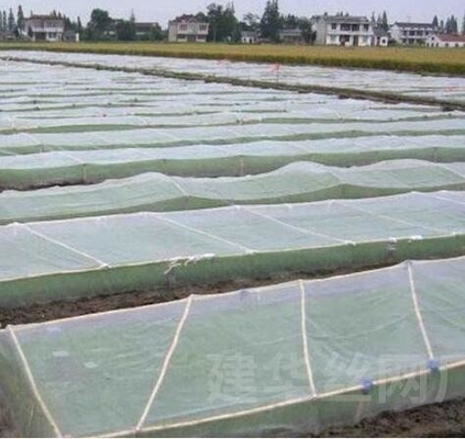 Plastik kuş geçirmez ağ PE büyütülmüş kalınlaştırılmış sera tarımsal üreme ağı bağ böcek geçirmez ağı