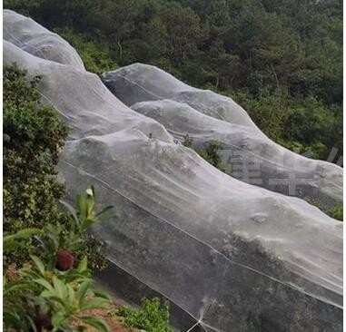 Yeşil Özel Böcek Koruma Böcek Koruma Meyve Ağaçları Sebze Bahçeleri Ev Fabrikası