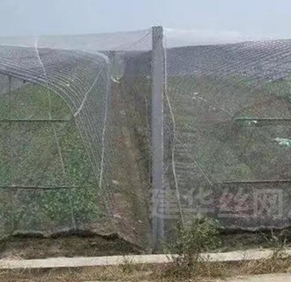 40 50 60 Mesh 125g Tarım Sermaye İstihbaratı Kabul edilebilir Yazdırma ile Böcekle Mücadele Ağı