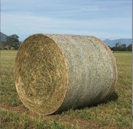 PE Plastik Tarımsal Yuvarlak Mısır Bale Ağ Silaj Yem Yem Fırat Ağı Saman Bale Ağı Baler Özel